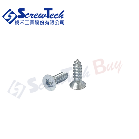 FTTS029095-CL1Z_照片