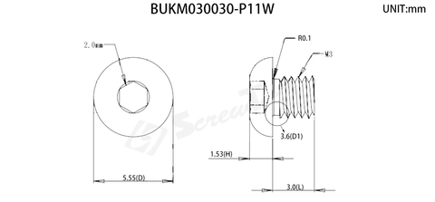BUKM030030-P11W圖面完成檔