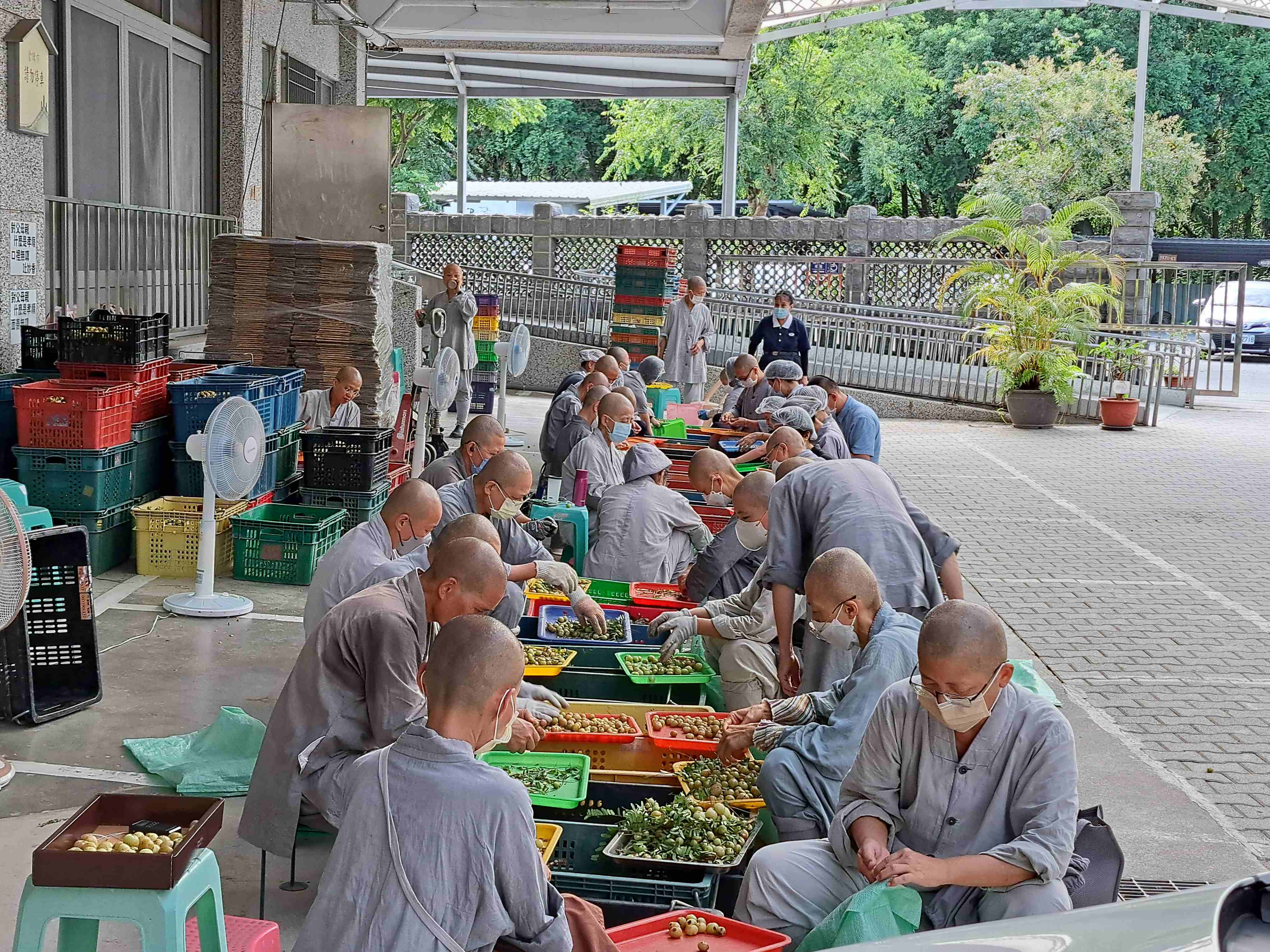 志工常住共伴行