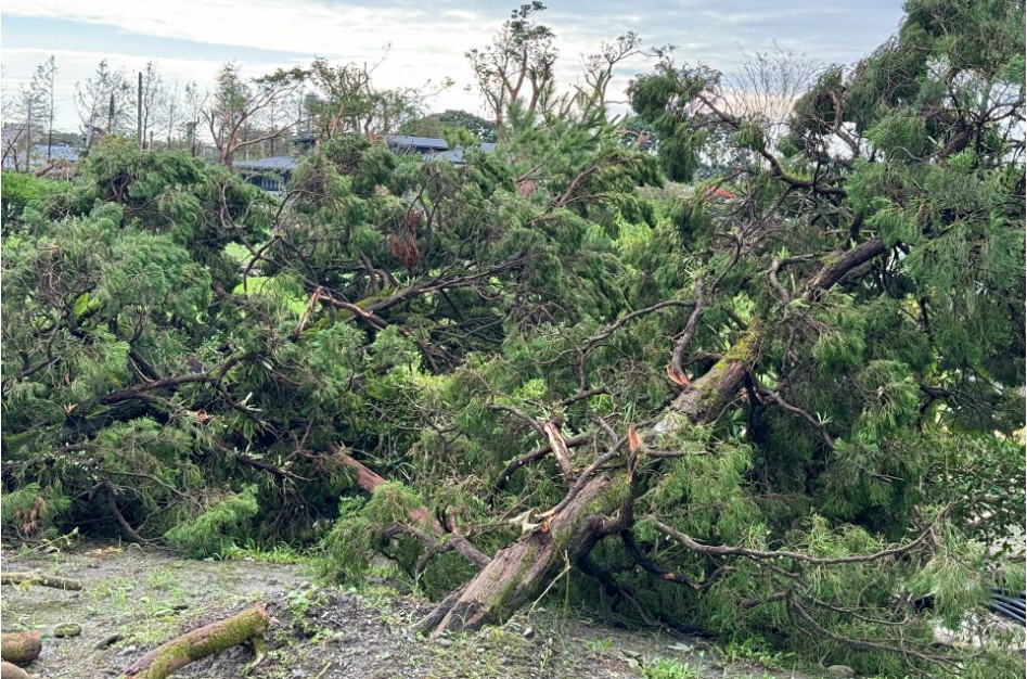 Screenshot 2025-11-04 123341