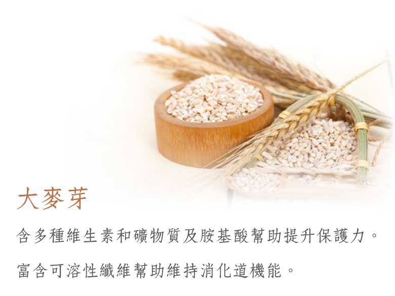 grainflour-oat barley03.jpg