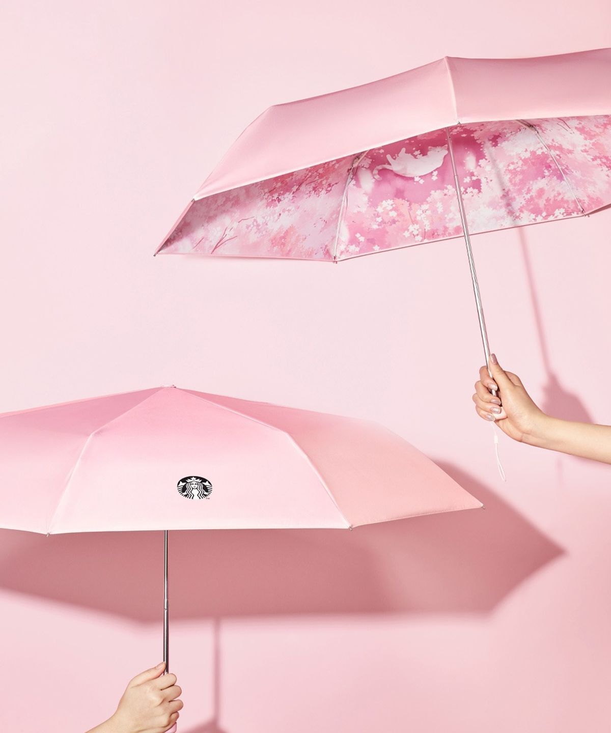 6052238_17719866419675_big