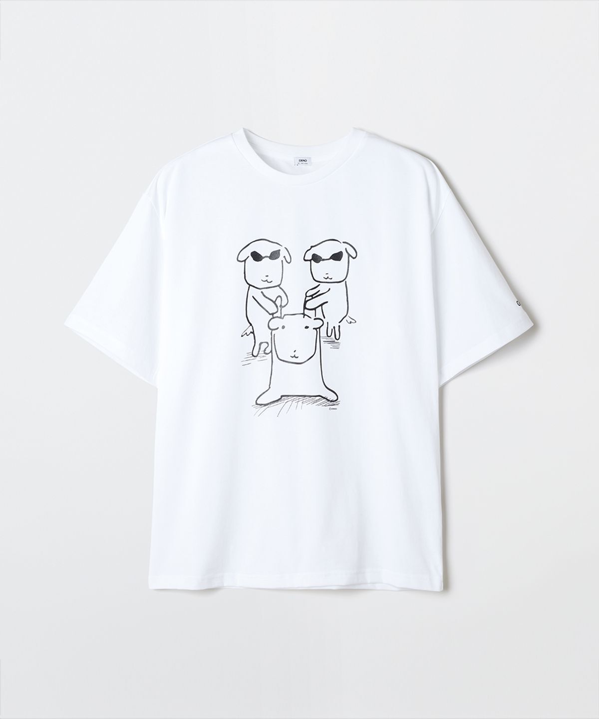 6096774_17730148403657_big