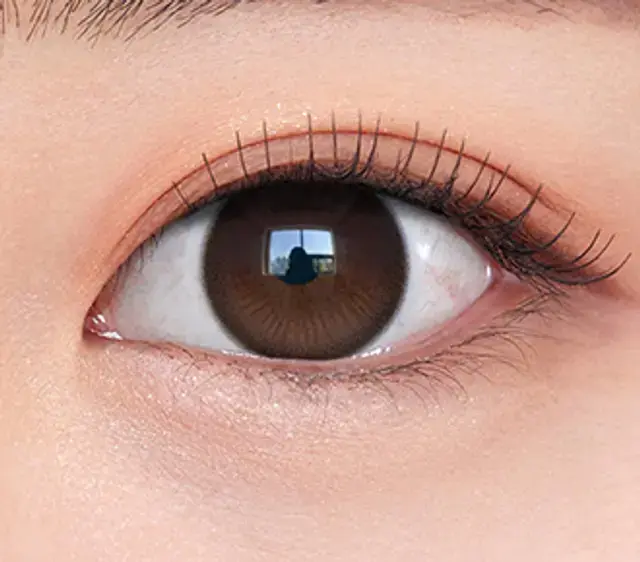 b321d0f1-ff59-441b-a81f-5d33c36e1d3d썸네일