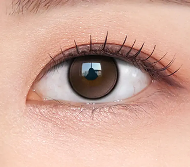 a065c99e-d5d5-44e8-b464-1a0dbfa7a5c1글로이티어미니 브라운