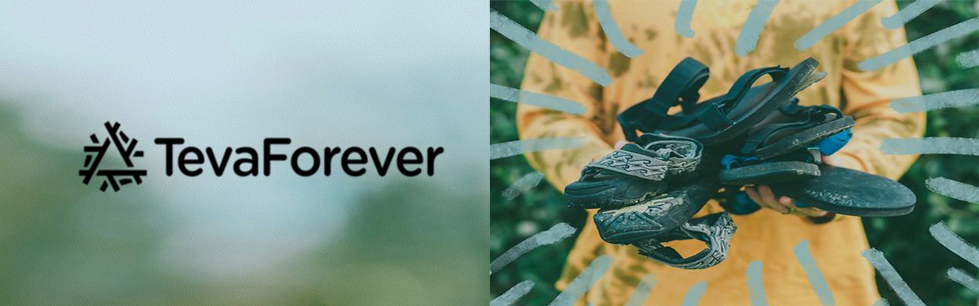 Sandaland - TevaForever