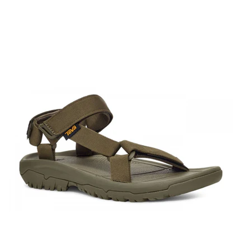 baUN9qtiwuZ5lVTbTE.S24.1019234-OLV-2