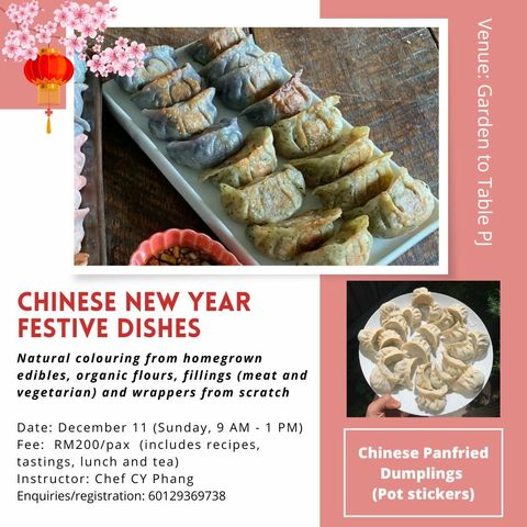 pot stickers 111222