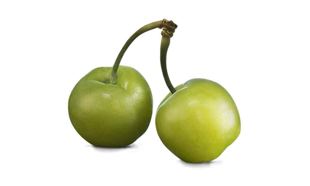 amway hyaluronic acid