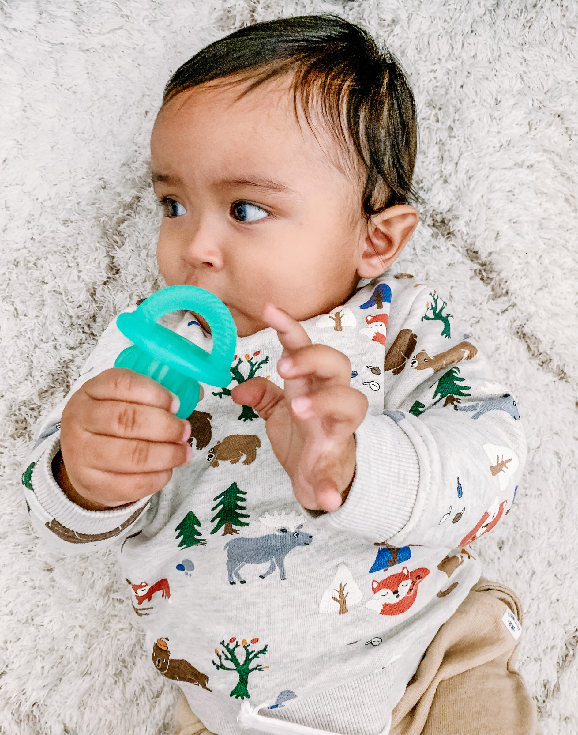 TT8320 Teensy Teether™ Cactus