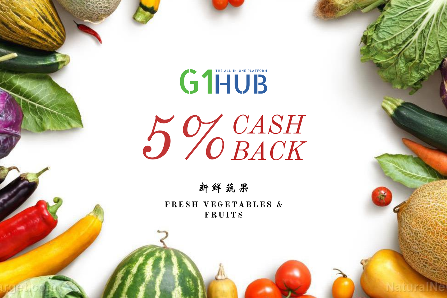 G1Hub | 