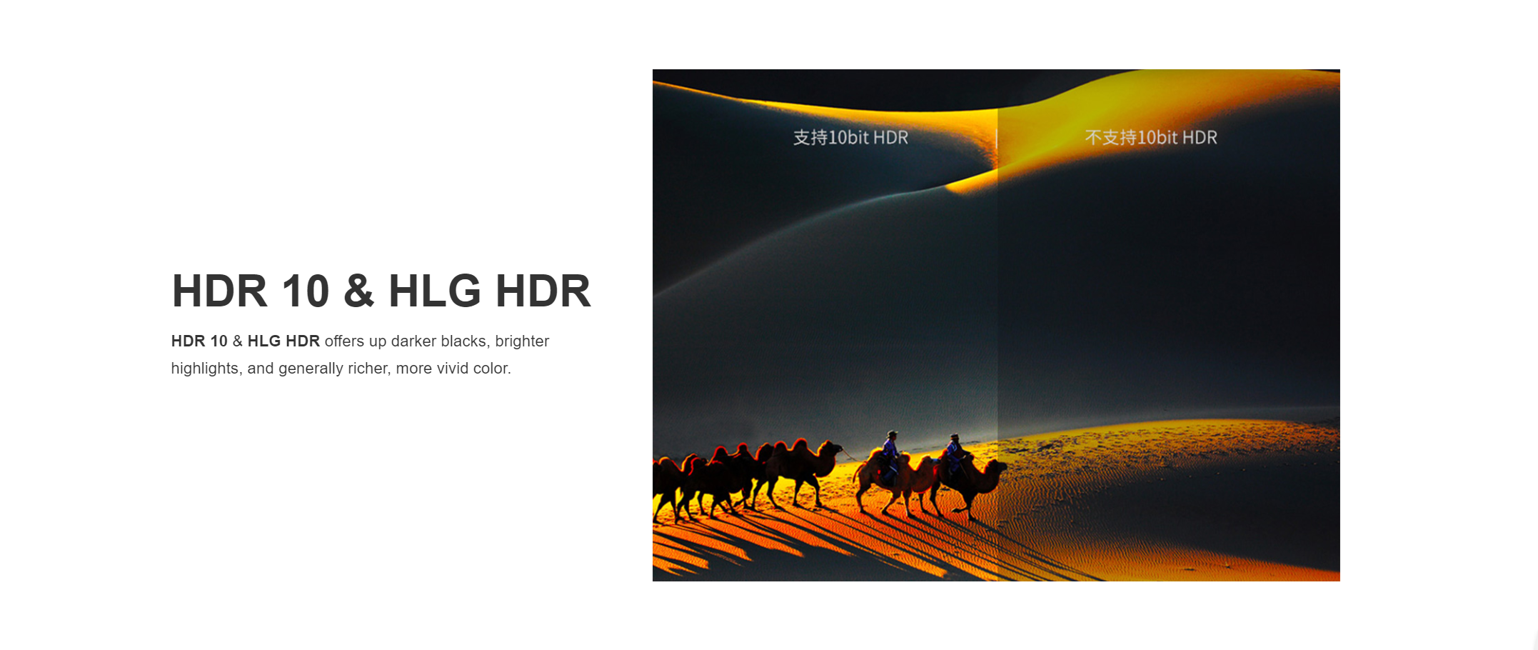 cover 4.png