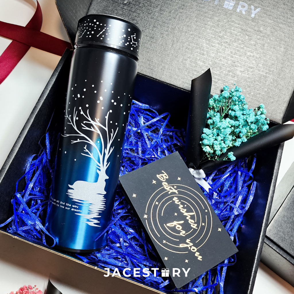 Gift Set | Creative Luminous Vacuum Flask