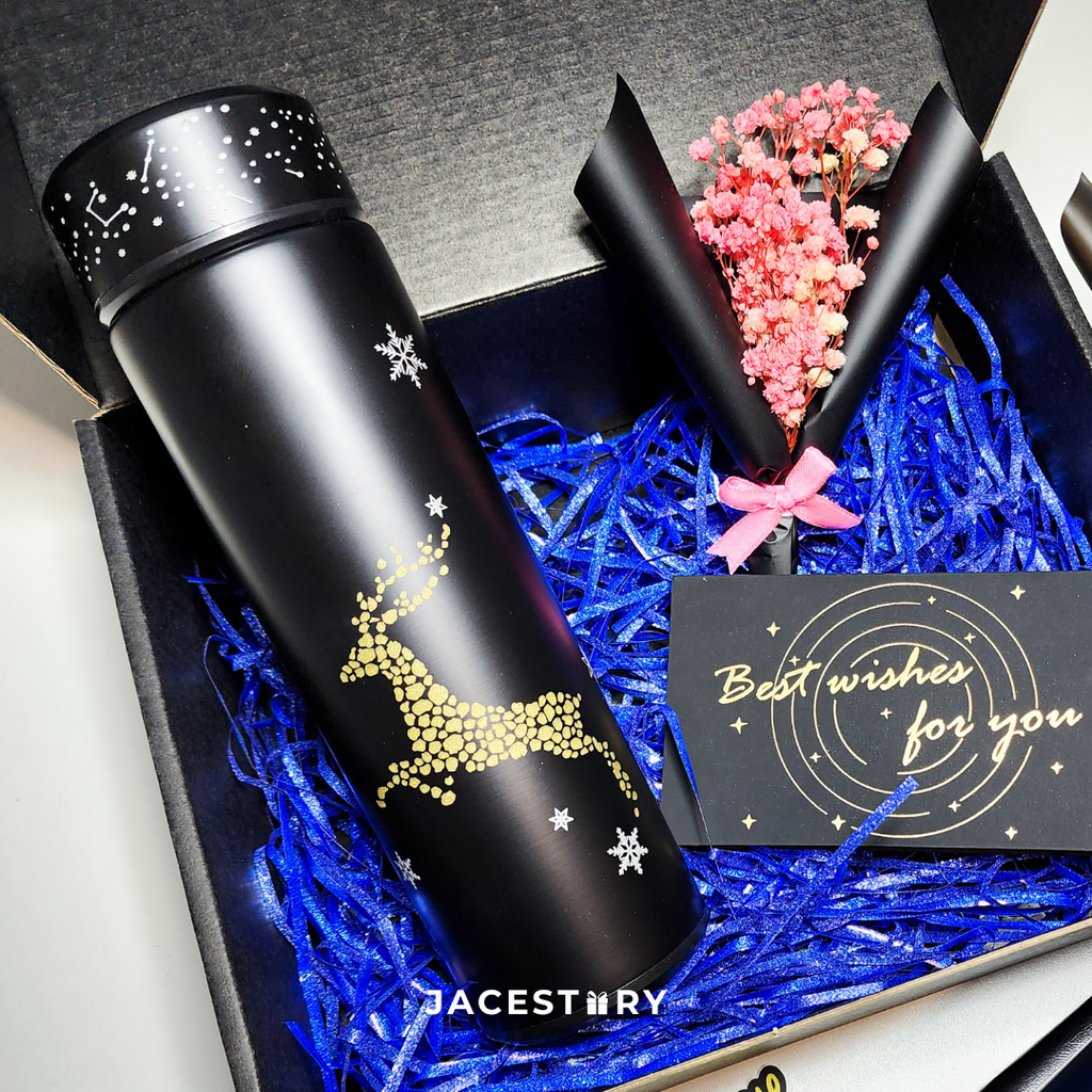 Gift Set | Glow In The Dark Vacuum Flask