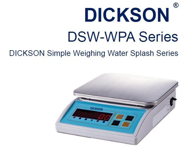 DSW-WPA PICTURE.jpg