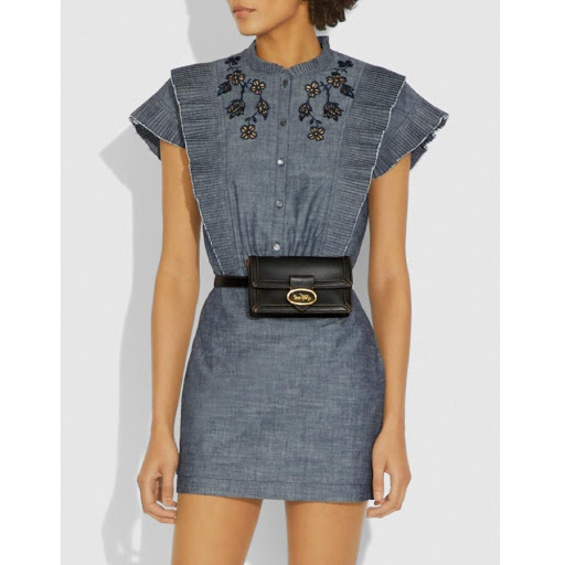 COACH RILEY CONVERTIBLE BELT BAG (COACH 