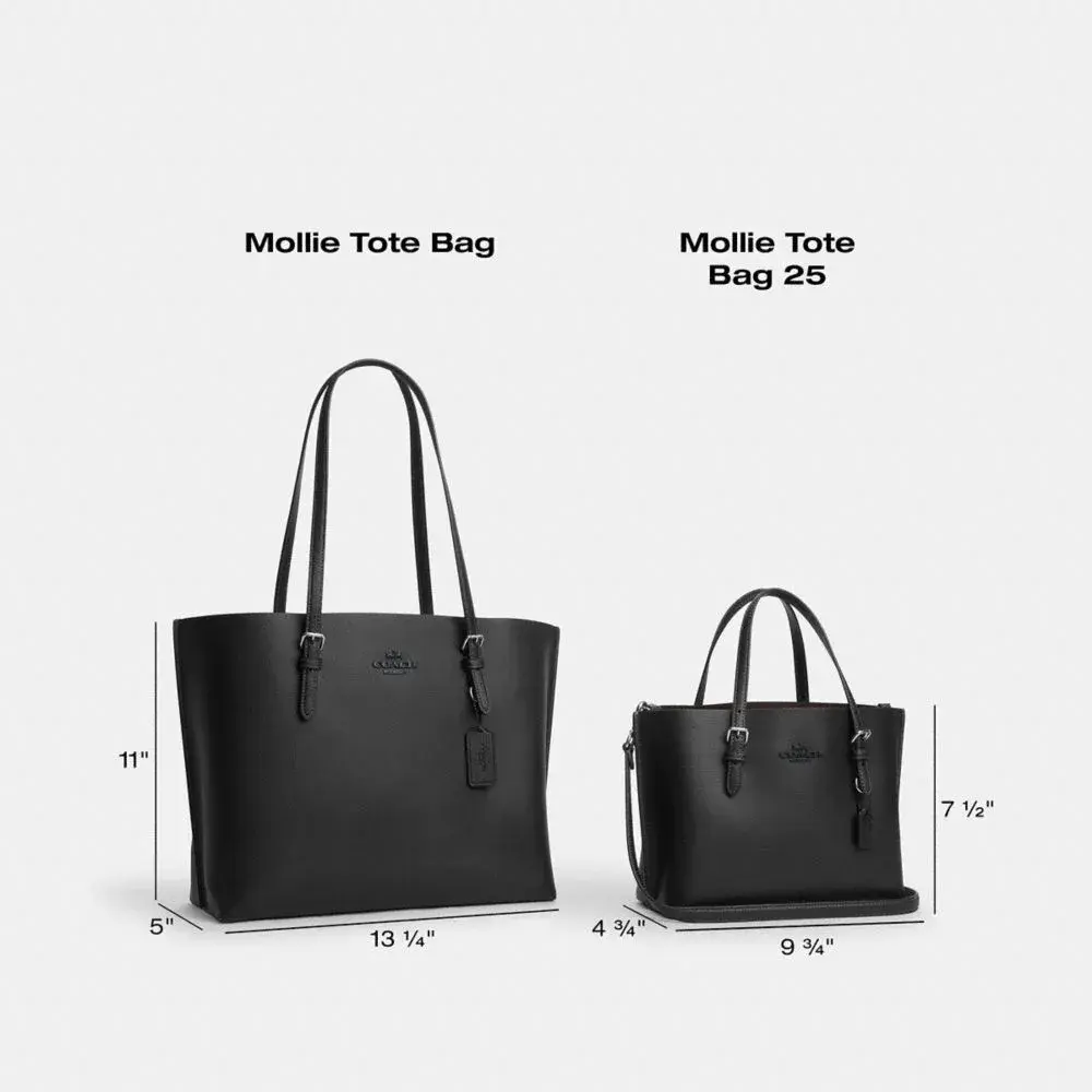 en_US-ToroImg_MollieTote2Family_a100