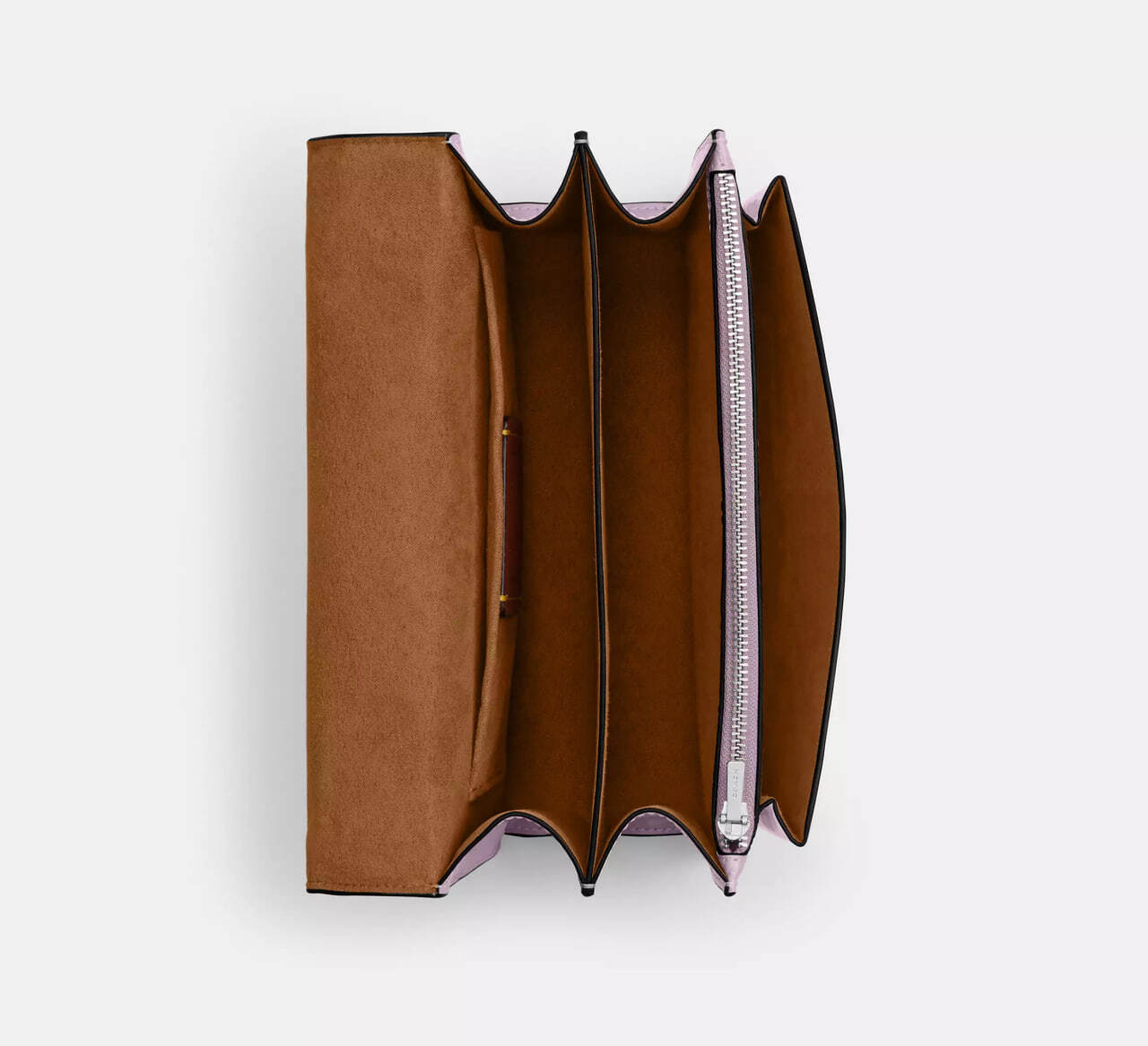 photo_2026-02-03_17-12-52