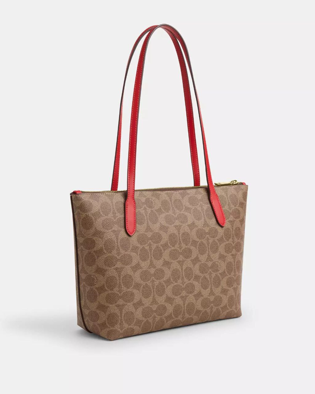 photo_2026-02-13_13-41-03