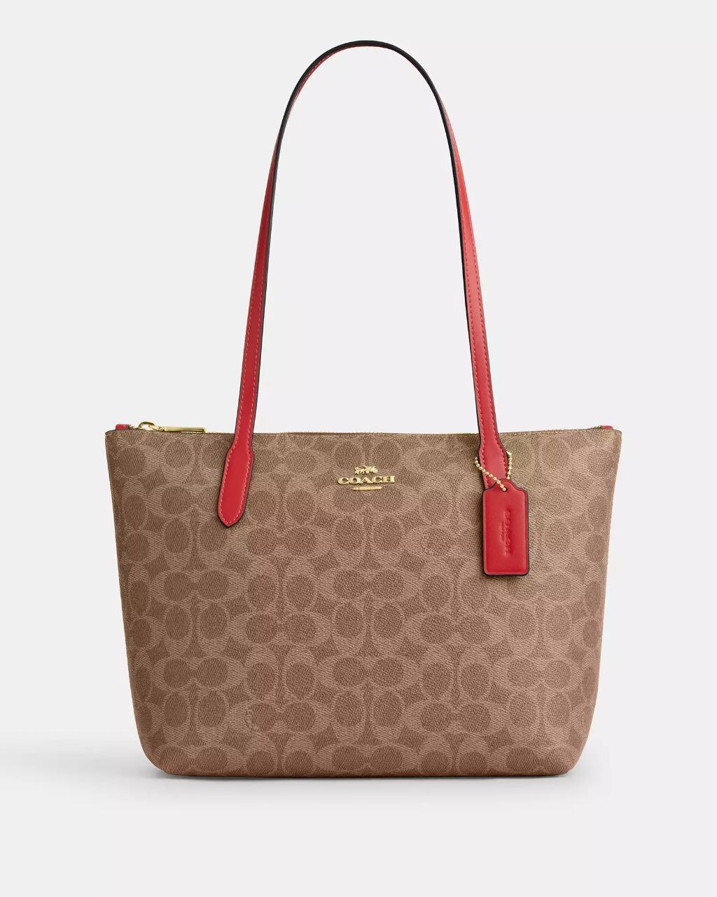 photo_2026-02-13_13-41-01