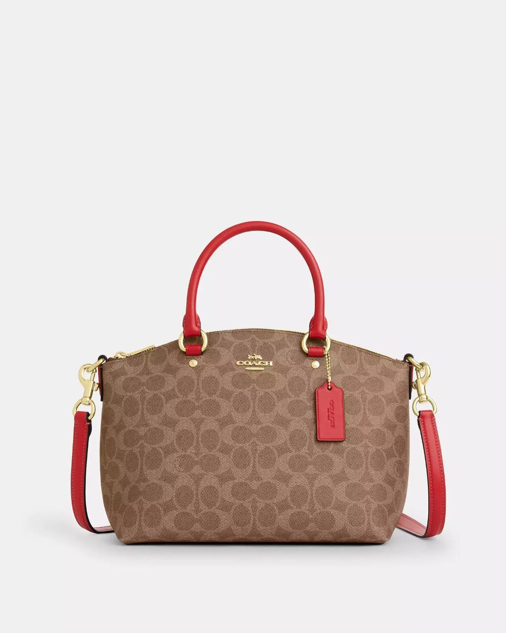 photo_2026-02-15_21-21-51