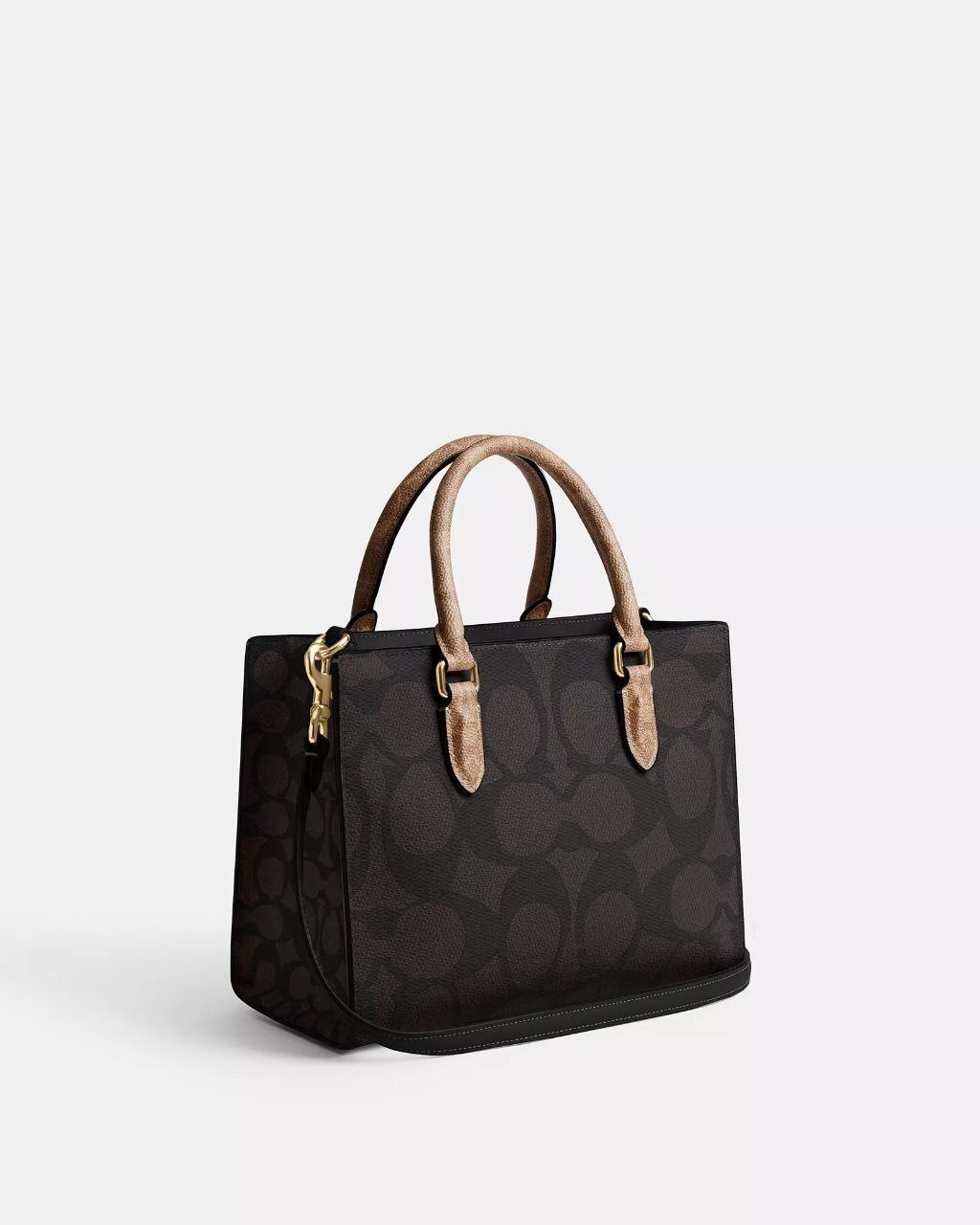 photo_2026-03-01_08-43-50