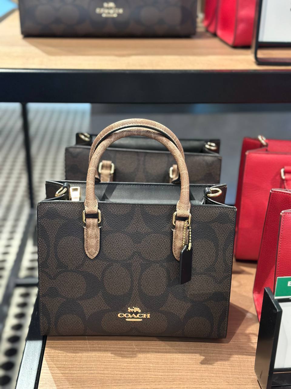 photo_2026-03-01_08-43-26