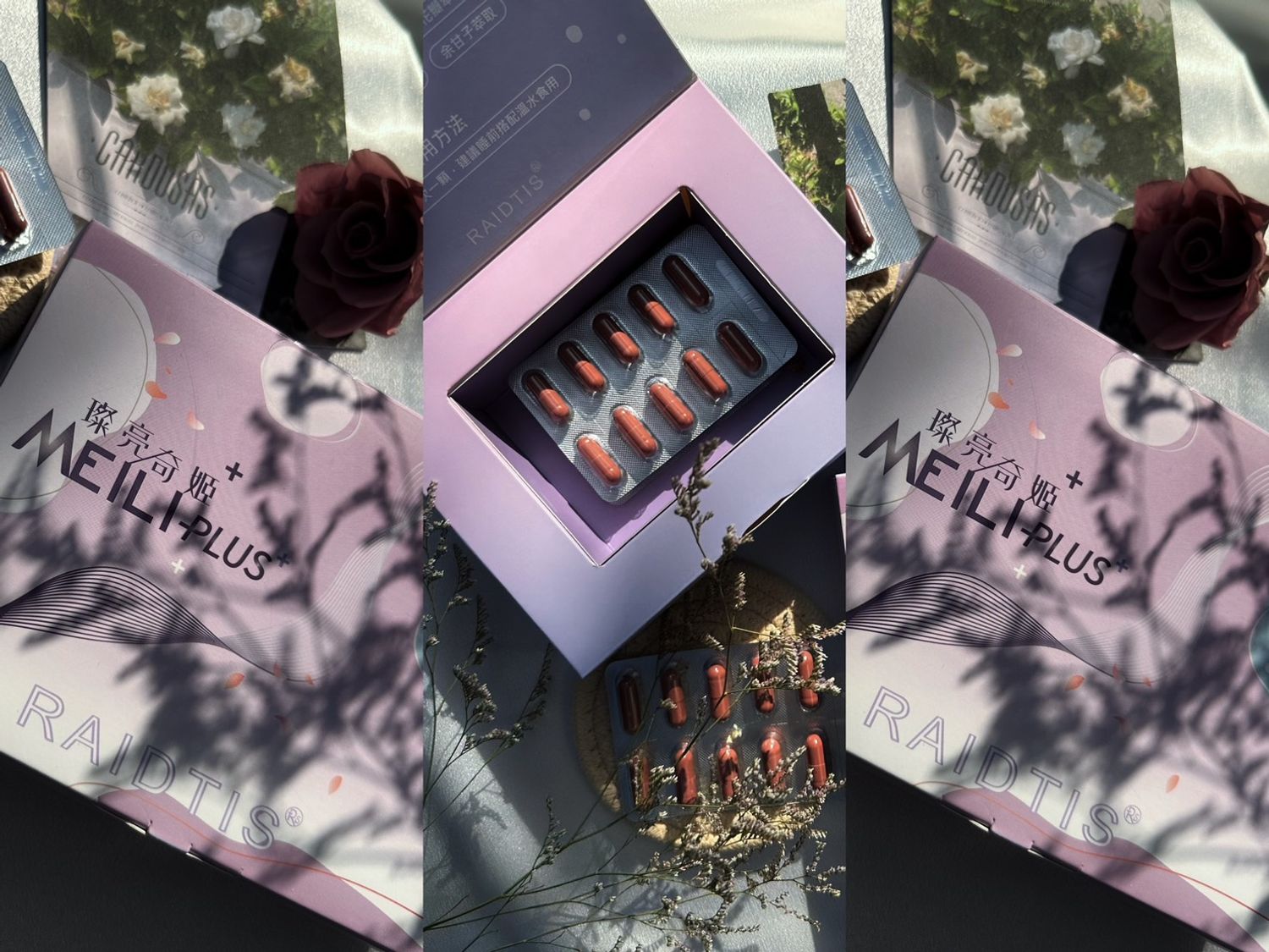 RAIDTIS 睿緹絲 | MEILI- PLUS