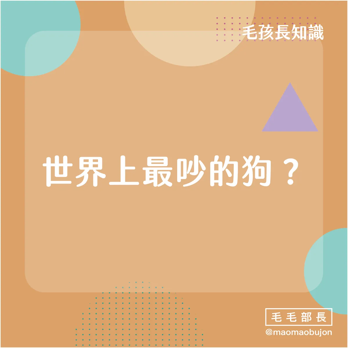 你知道世界上最吵的狗狗是哪種嗎?