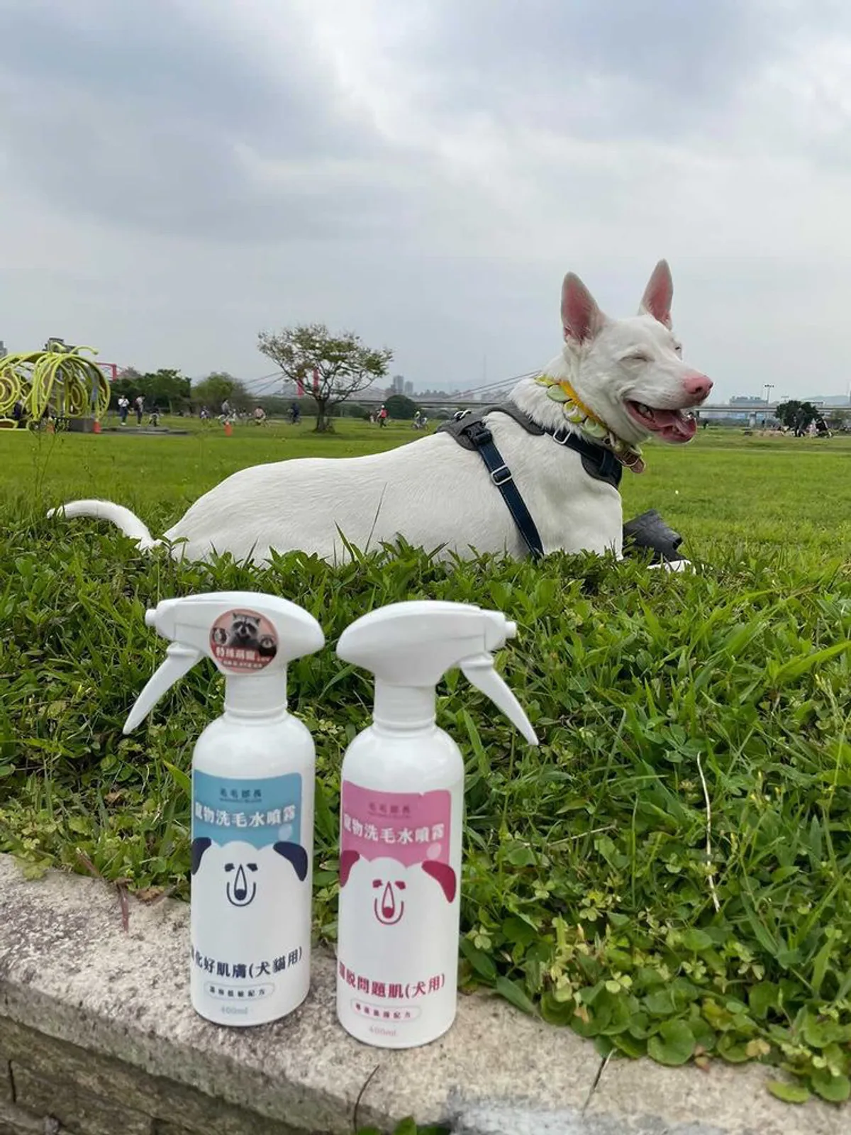 【毛毛部長 | 寵物洗毛水噴霧推薦】讓小狗多多縮短洗澡時間