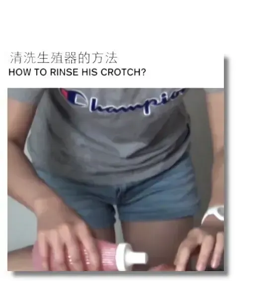 55040460