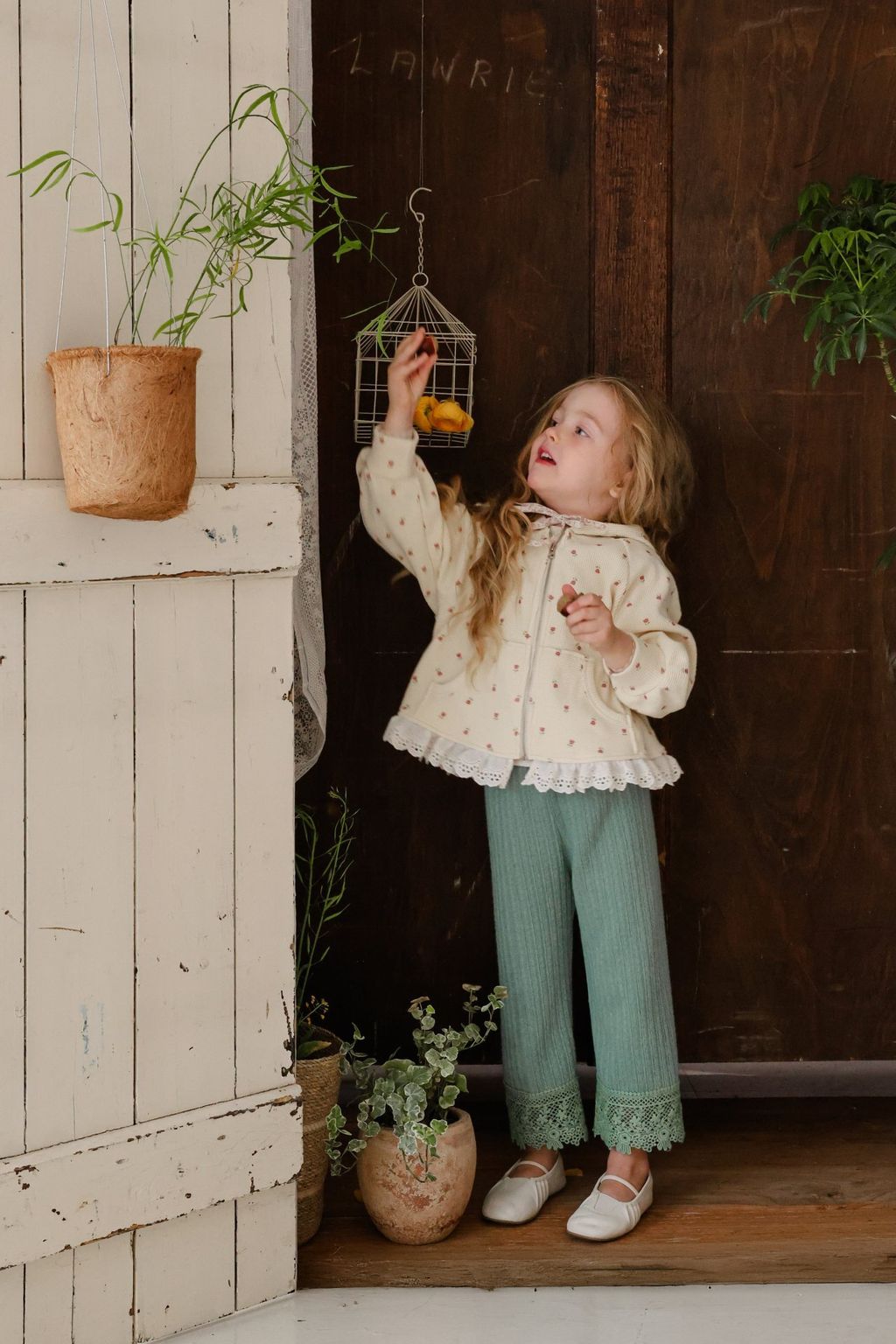 image_4268309D-9458-46D0-A88E-C03A05DE69D0_1768482072