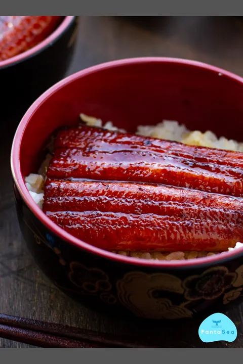 Unagi 1.png