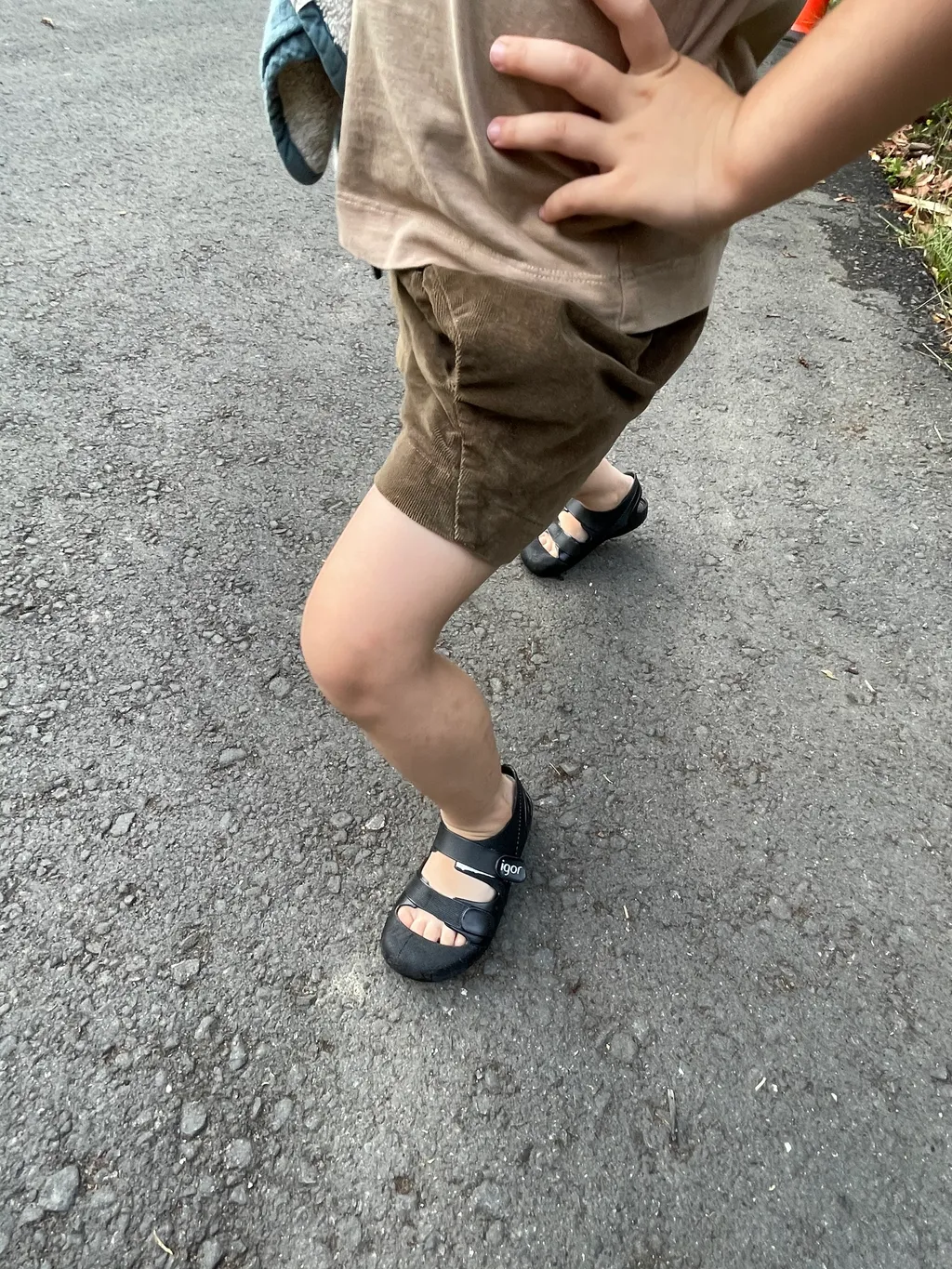 1D77982B-B8C2-4849-8F6E-E81562C3E3A0.jpeg