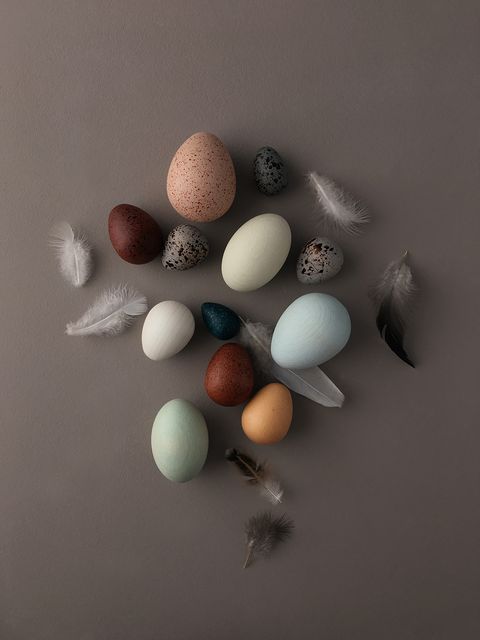 Moon-Picnic-A-Dozen-Bird-Eggs-3-web.jpg