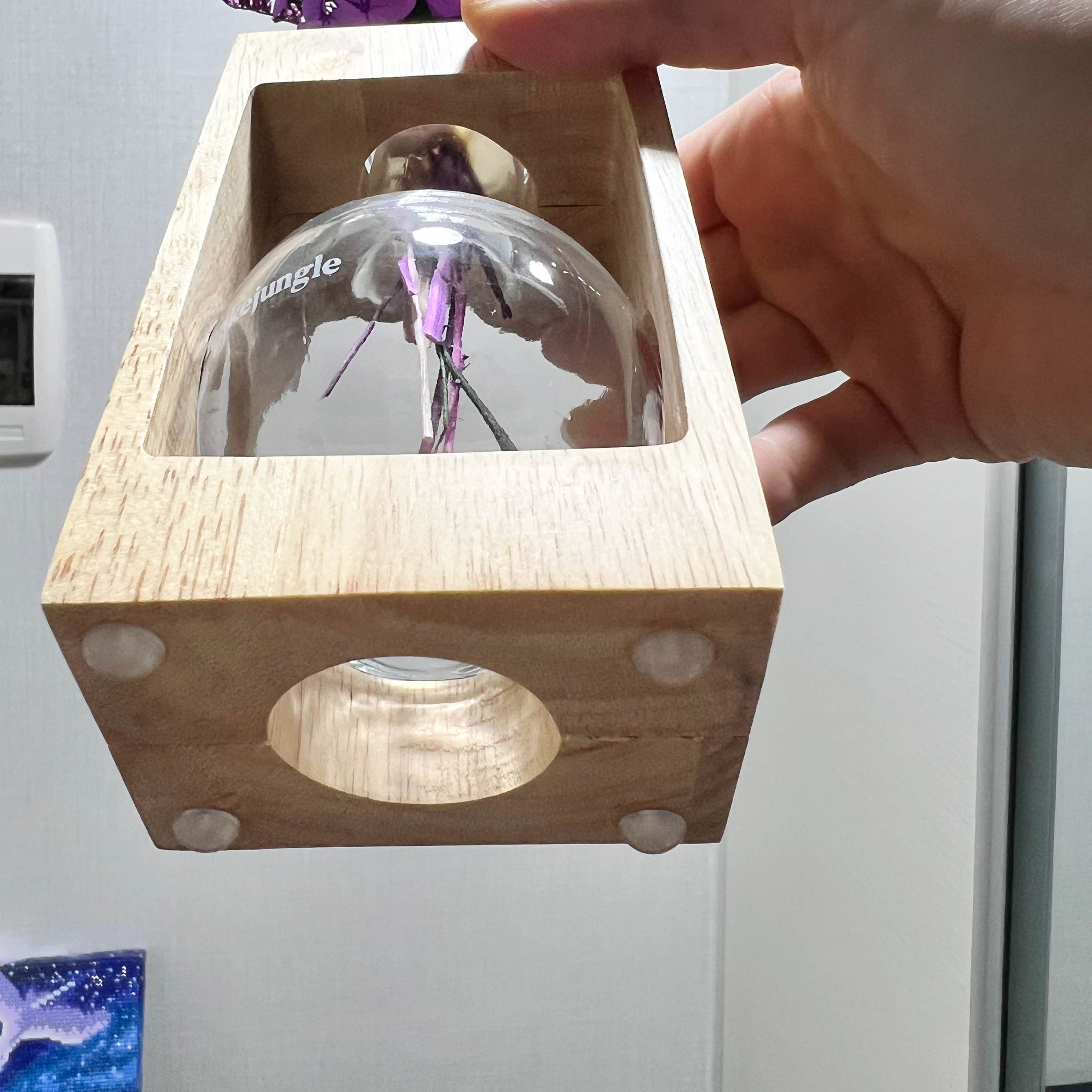 tJauP244QI4O5G98IHQItJauP244QI4O5G98IHQI