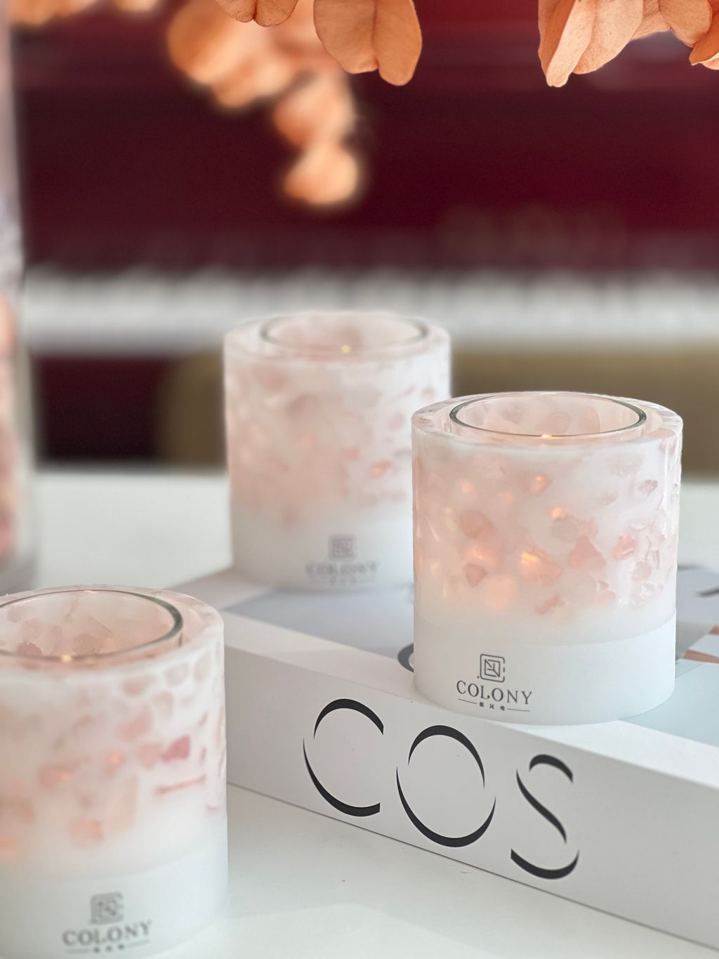 為什麼新手要從KCCA開始學?最推薦幾個原因