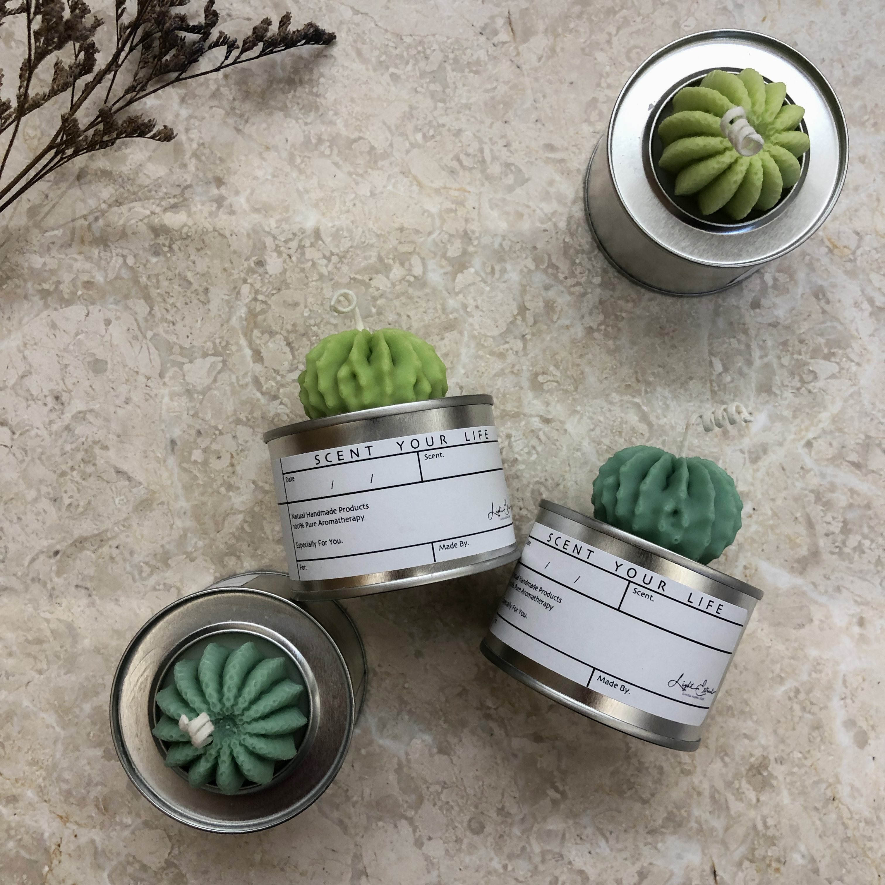 IMG_8512.jpg IMG_8512.jpg