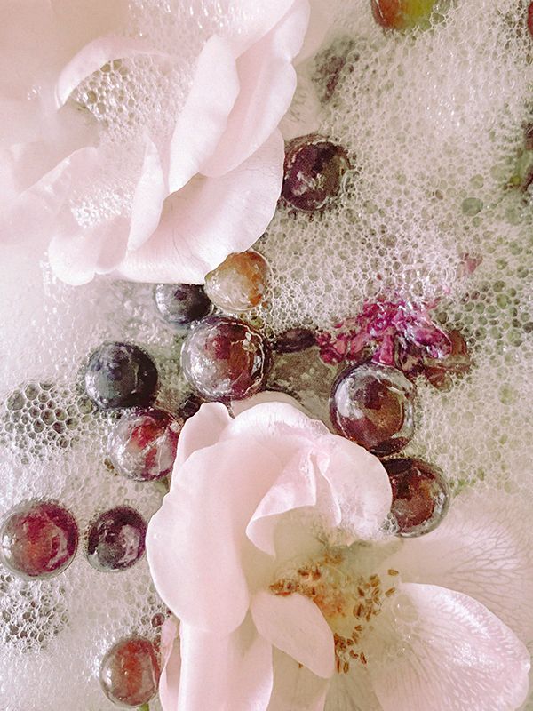 plum blossom