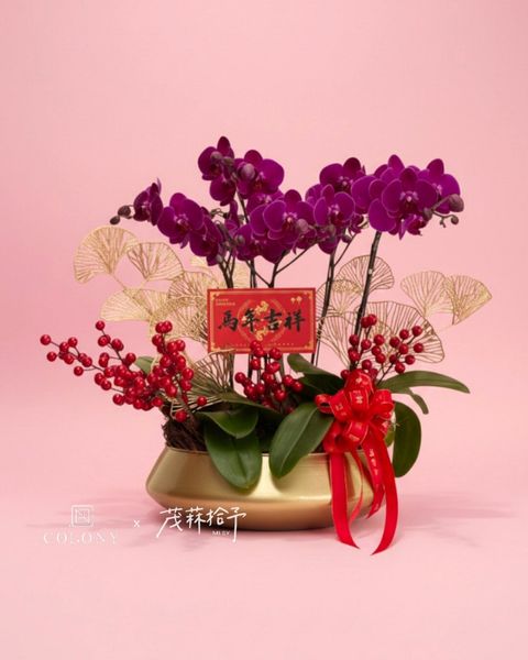 作品照片上LOGO用