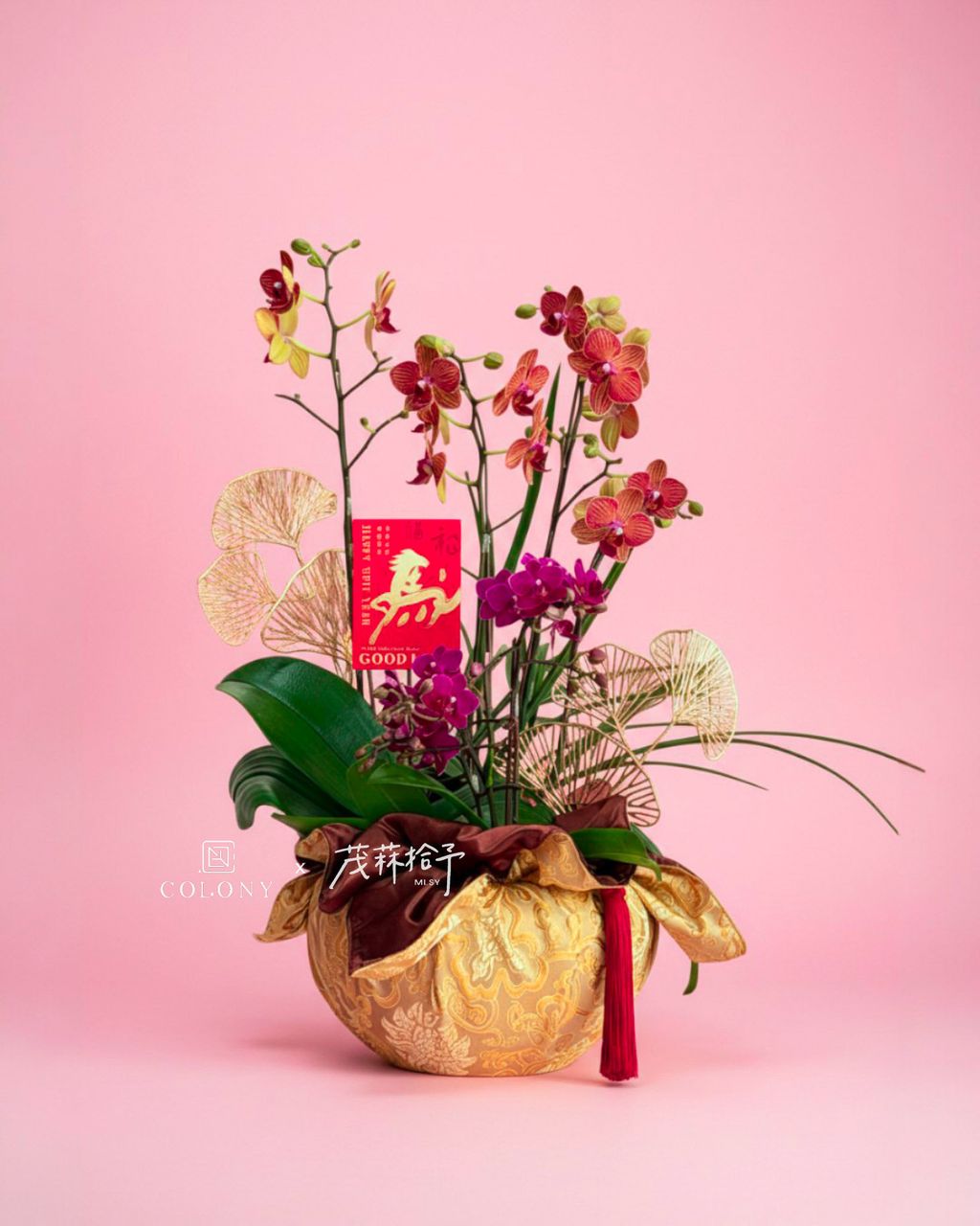 2026新年蘭花_赤驥・萬金 2