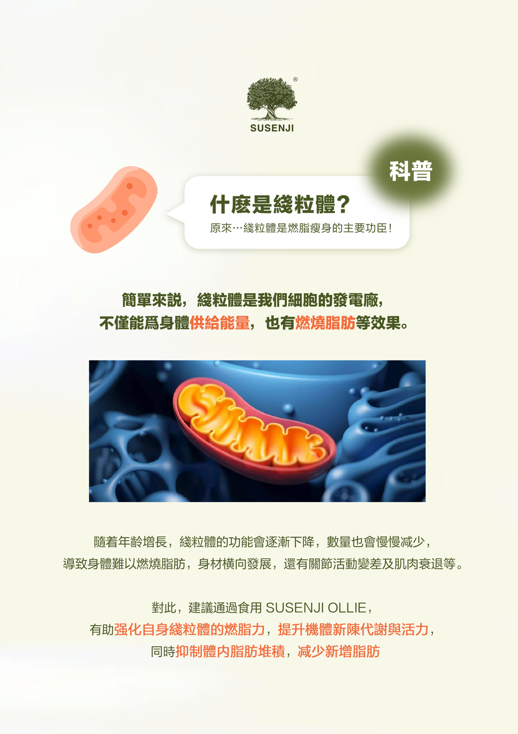 image_21FC9DD6-32BB-4A24-8EE9-E5E644AF4E3E_1746590071