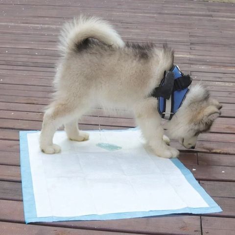 a845ce2fa8a1d0d02a1885a4348c6f5b