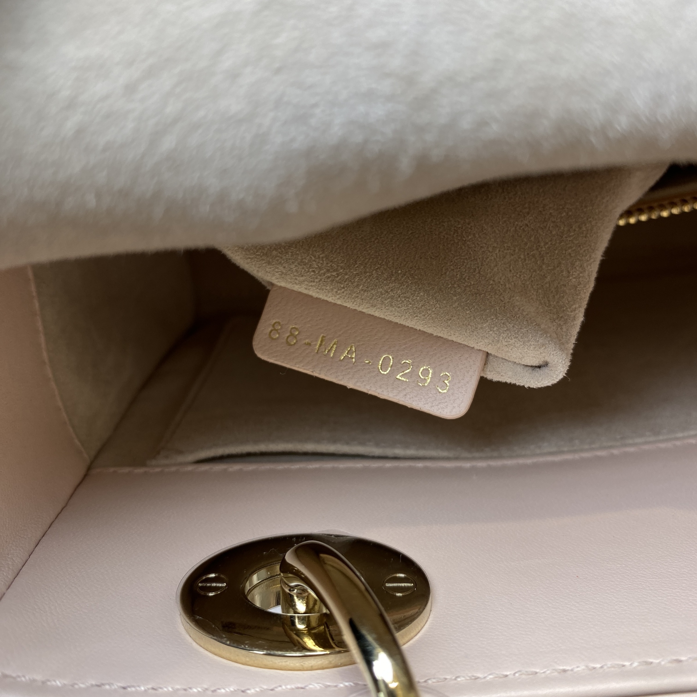 IMG_7443-1772615087794