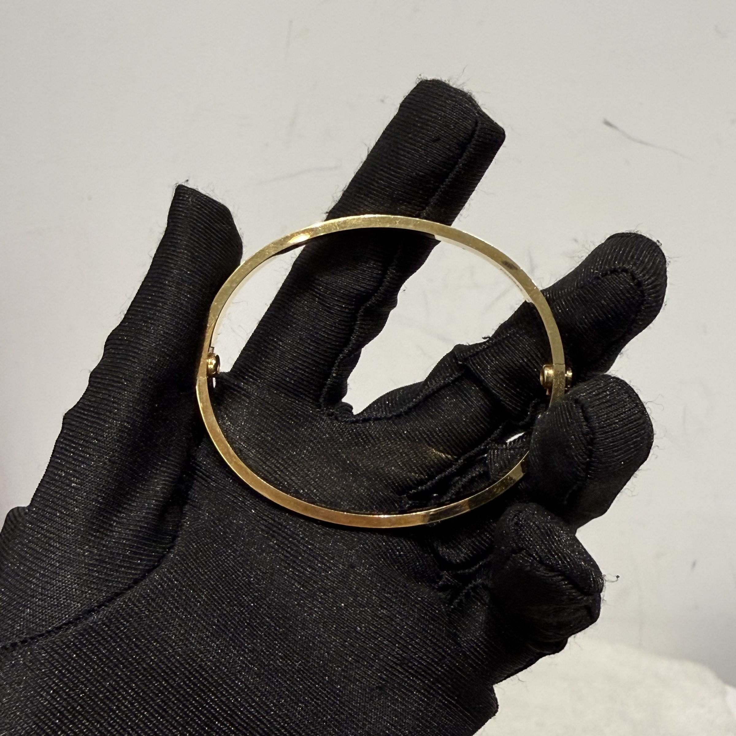 image_60976453-F5D7-48A5-93E2-9CC50CA03142_1773033544