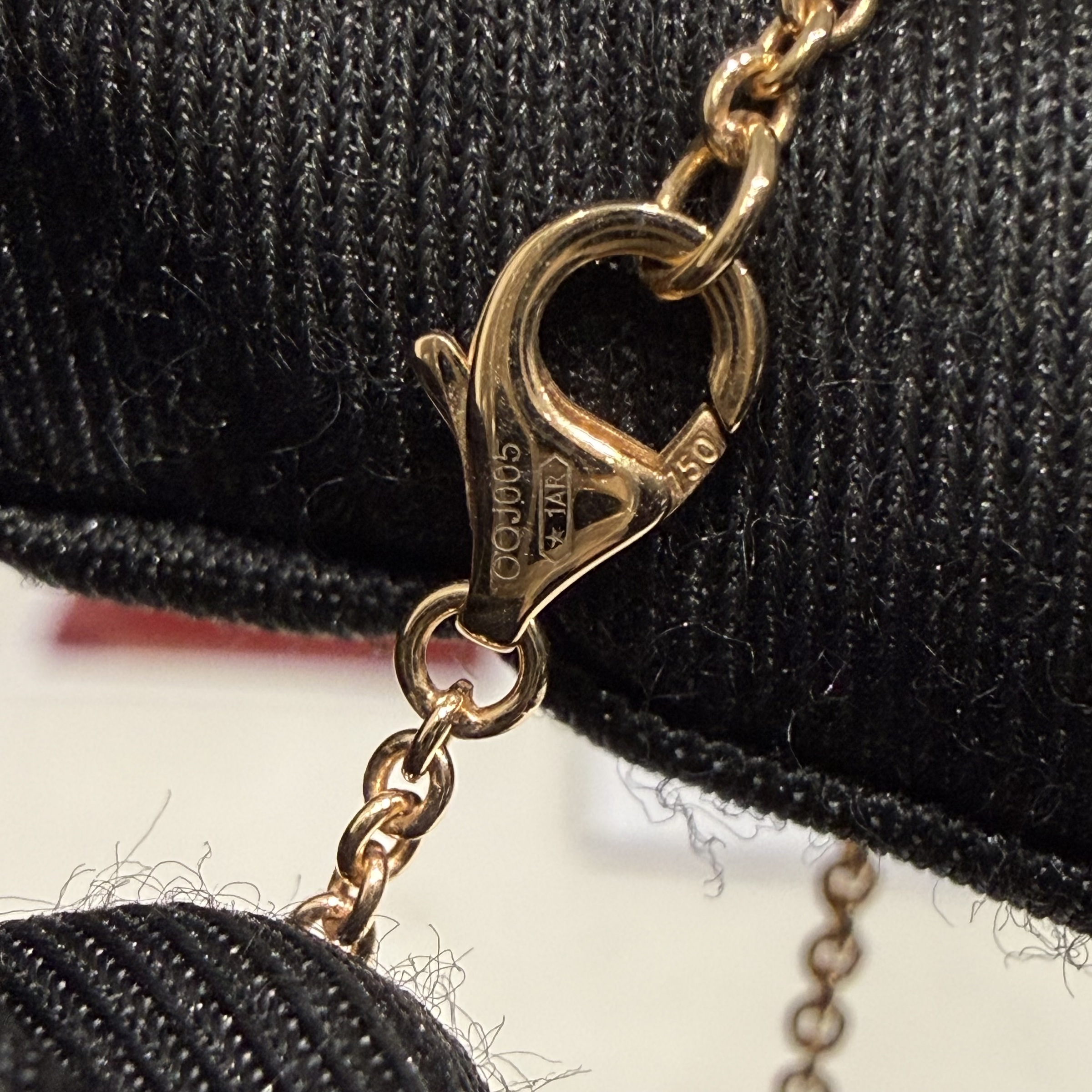 image_1B7E5916-941B-4673-B115-CE4B787D2ABF_1773033635