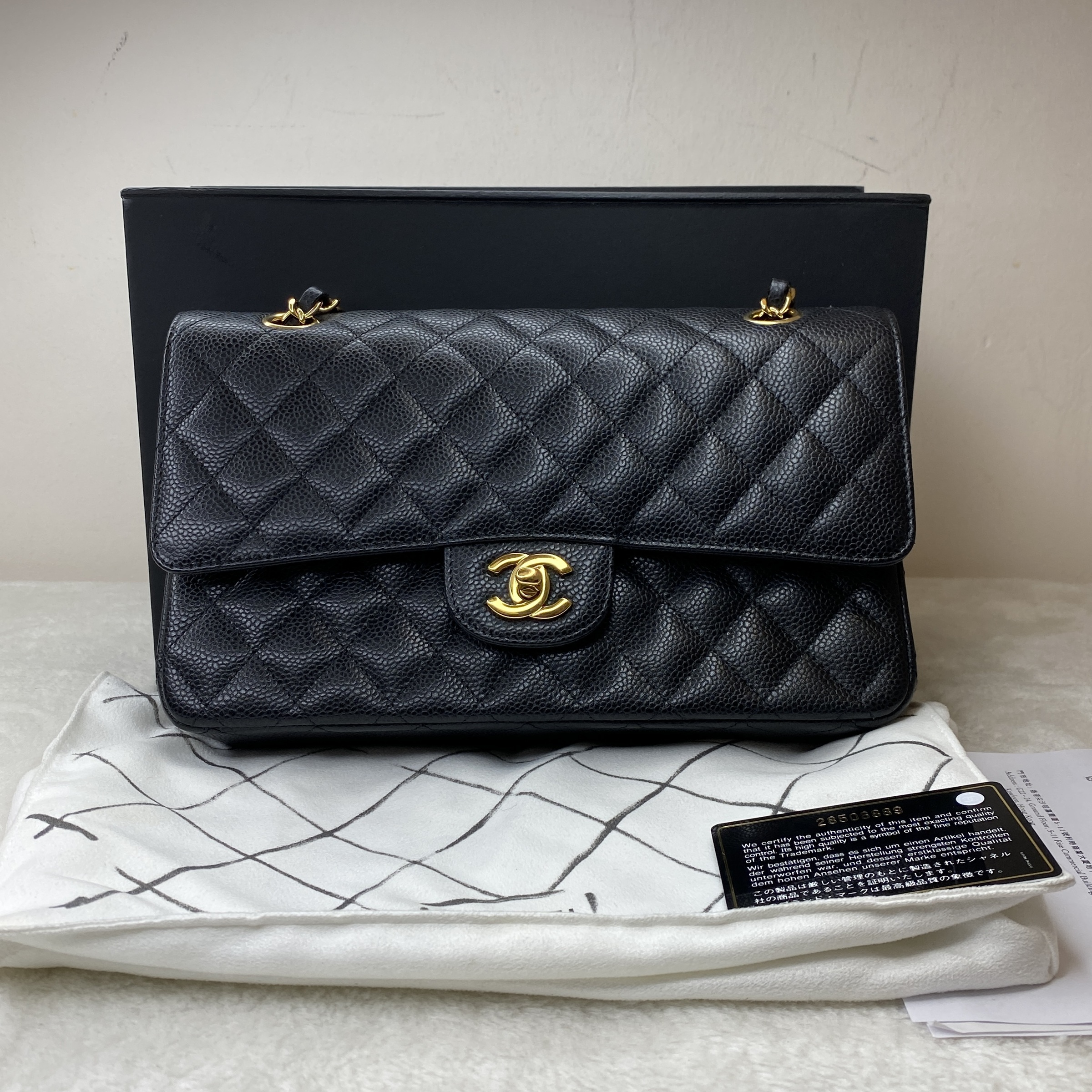 IMG_8010-1773123461748