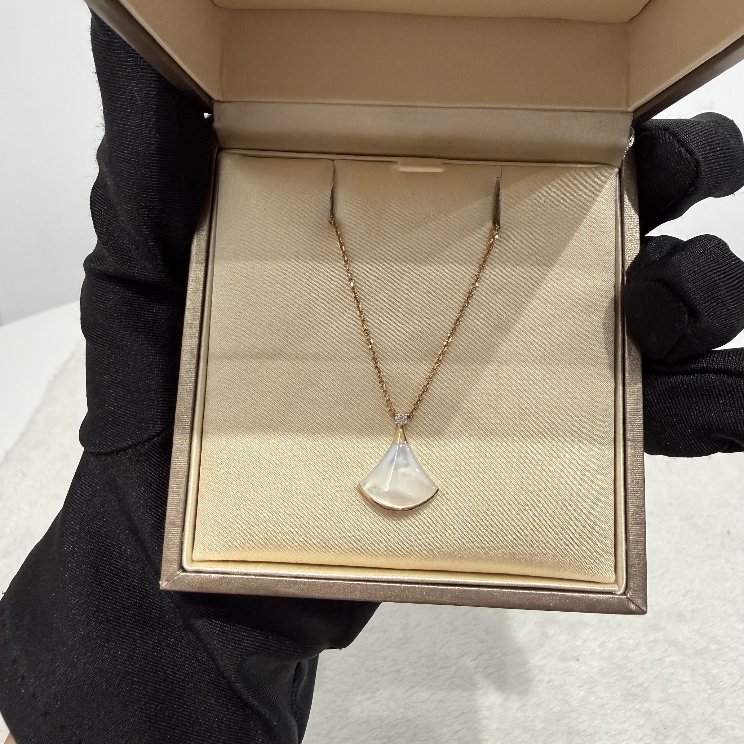 image_E27EAD59-47C1-4758-966A-71EC3BB0F38A_1773302967