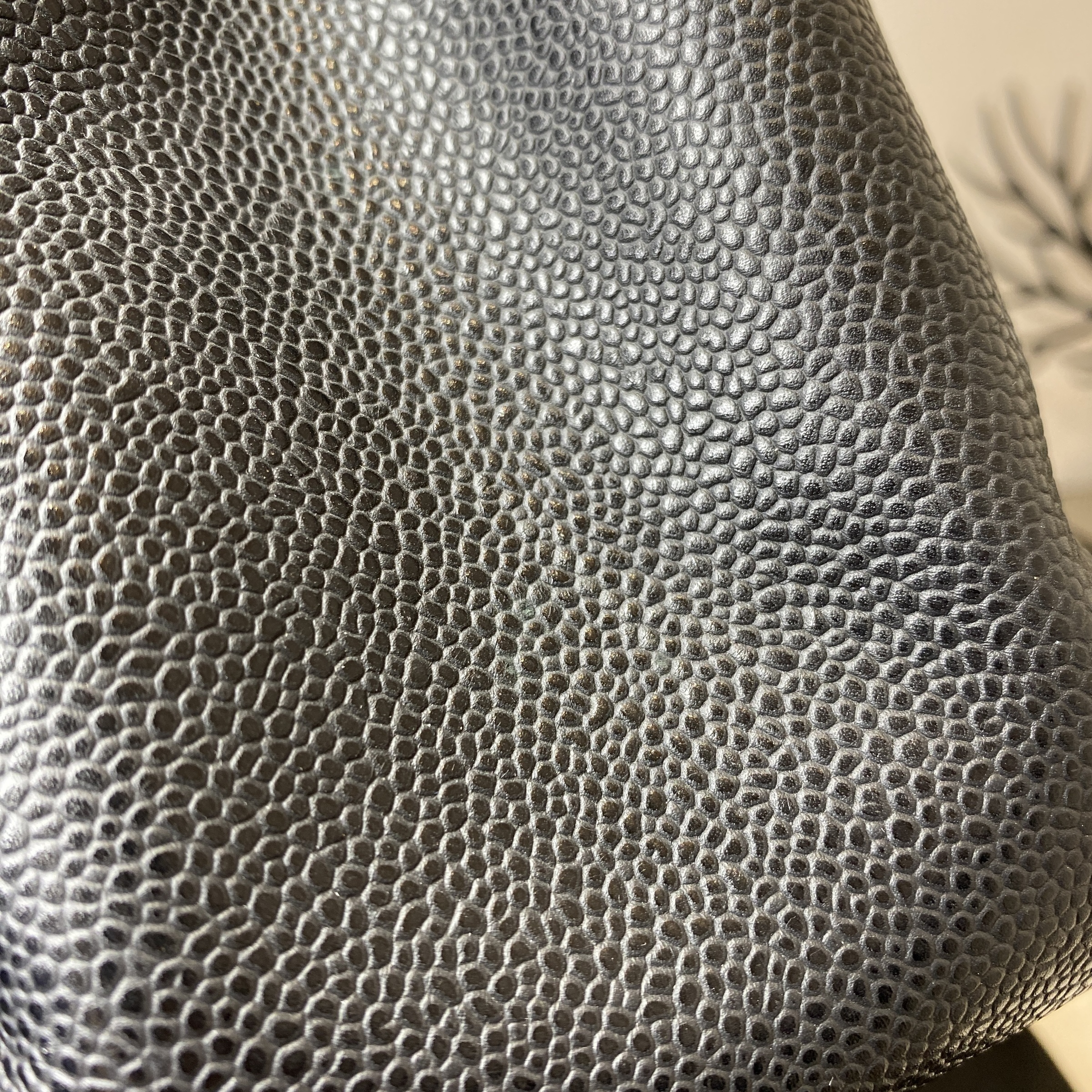 IMG_8445-1773303548971