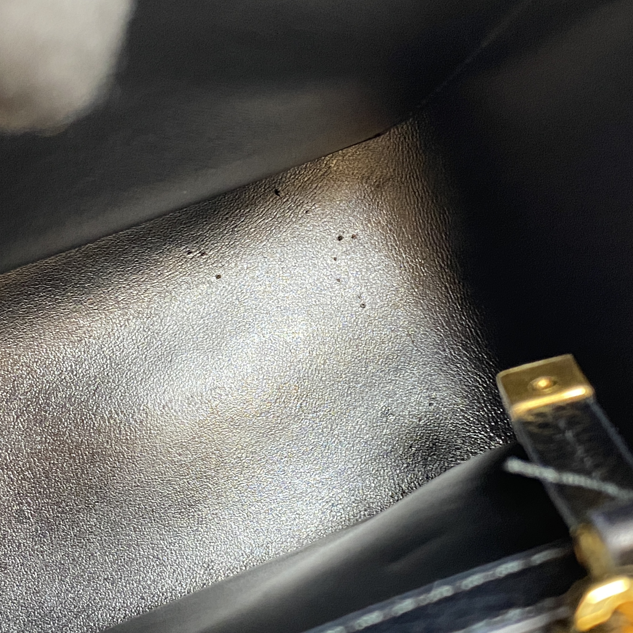 IMG_8706-1773644578395